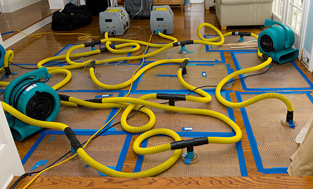 Professional Water Damage Restoration technician working in Lawrenceville, VA